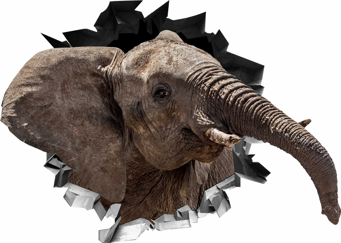 Wandtattoo Mauerloch Elefant WallArtML049