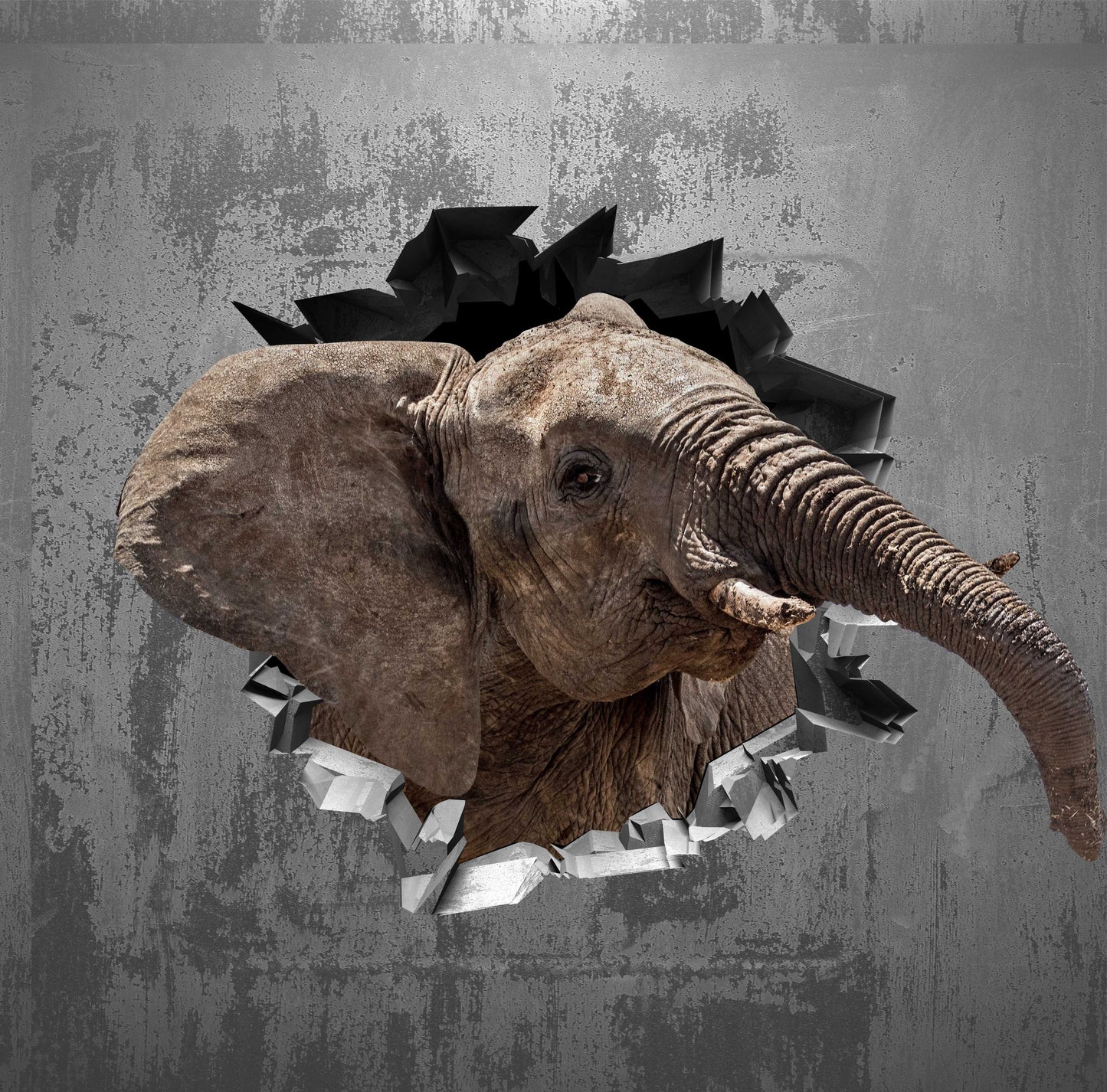 Wandtattoo Mauerloch Elefant WallArtML049