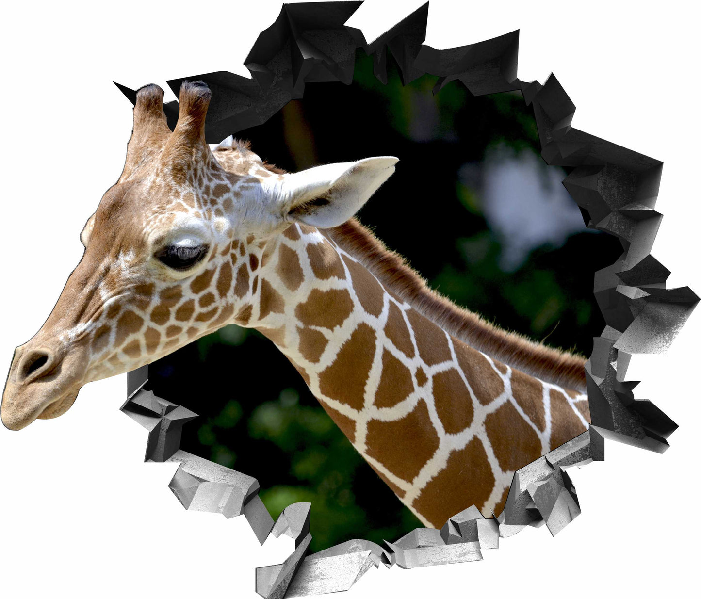 Wandtattoo Mauerloch Giraffe WallArtML139
