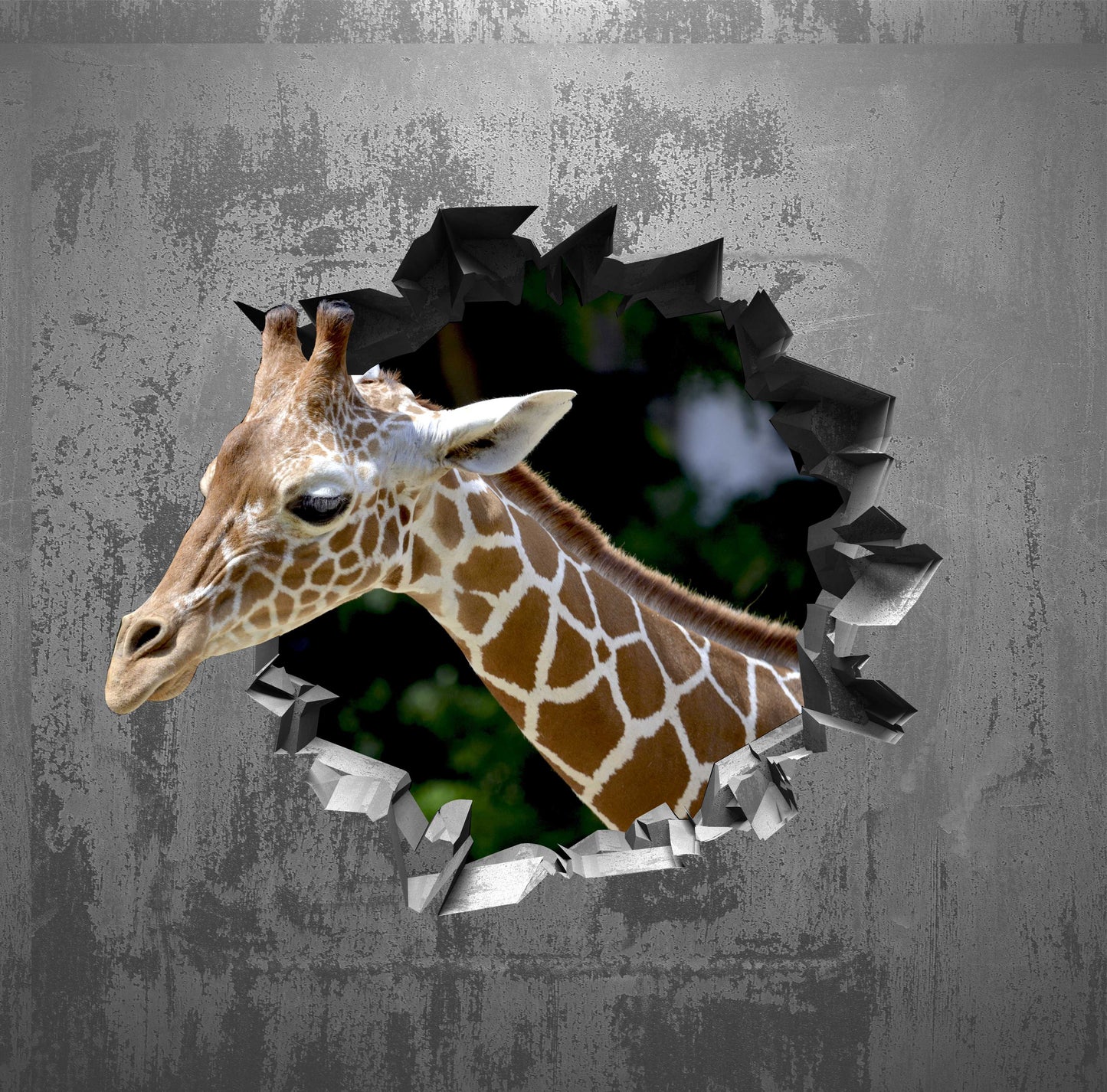 Wandtattoo Mauerloch Giraffe WallArtML139