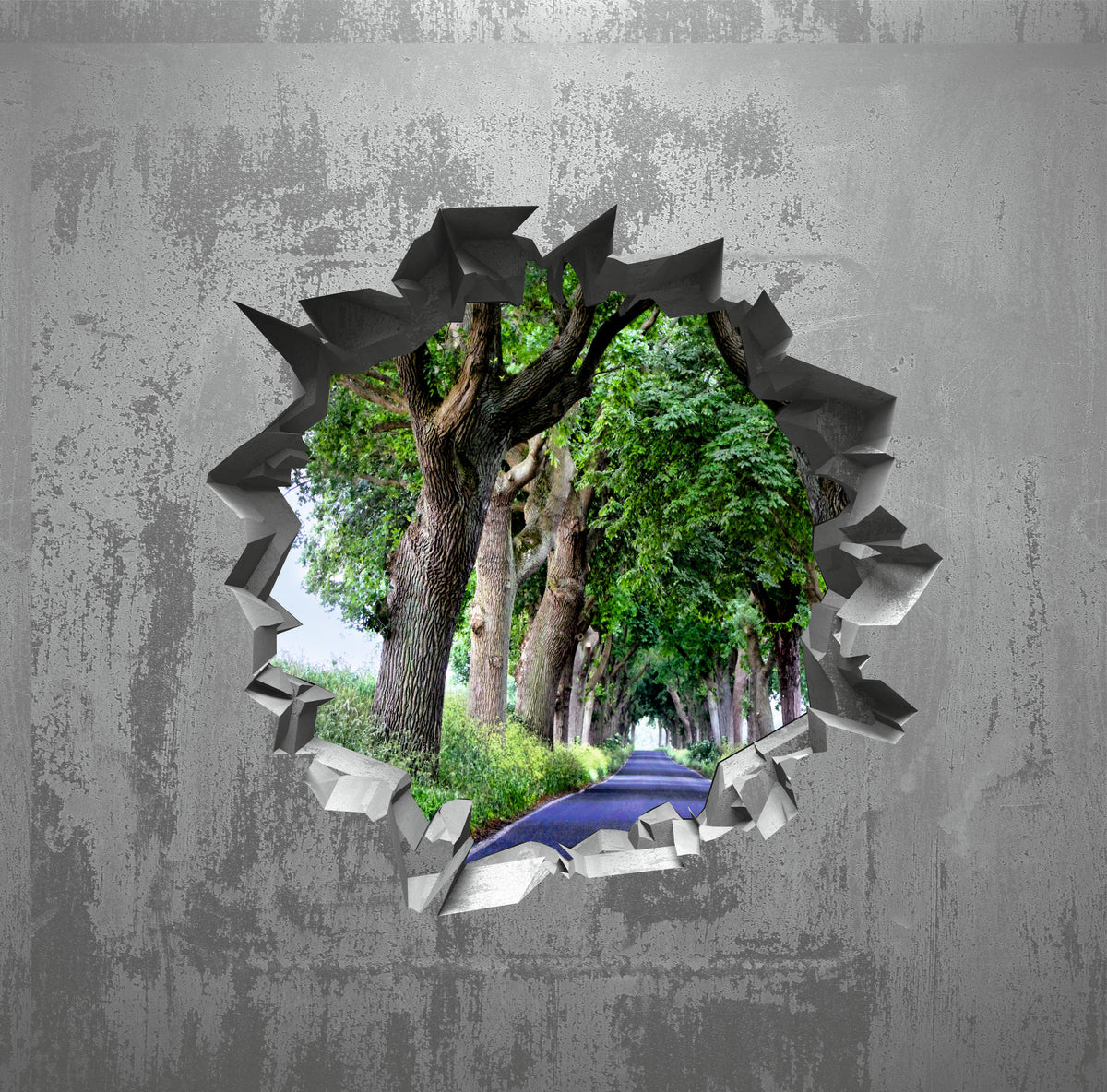 Wandtattoo   Mauerloch Landschaft (Allee) WallArtML166