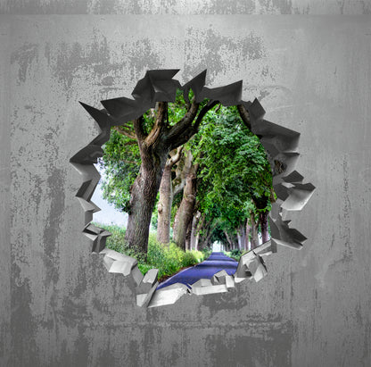 Wandtattoo   Mauerloch Landschaft (Allee) WallArtML166